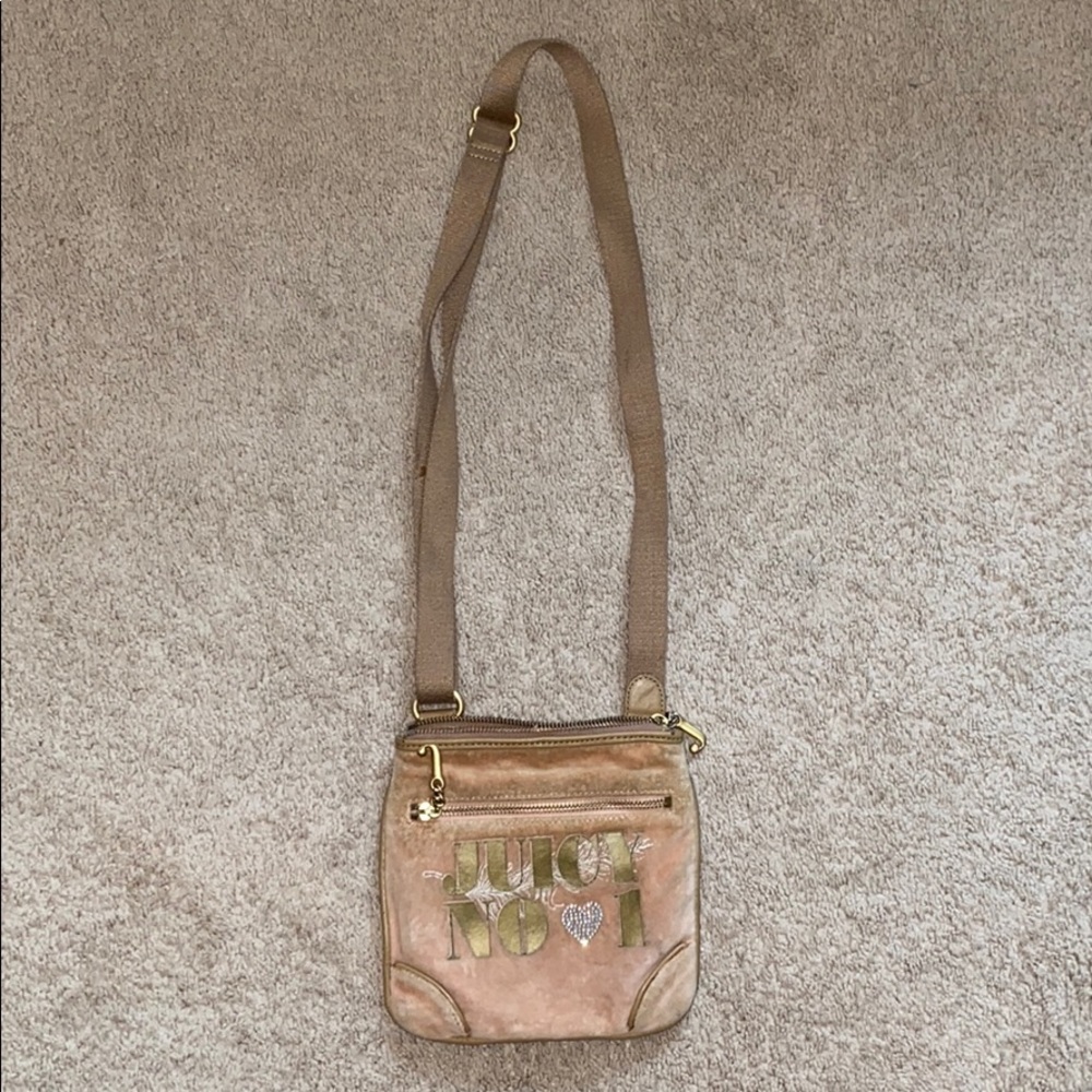 Juicy Couture Purse